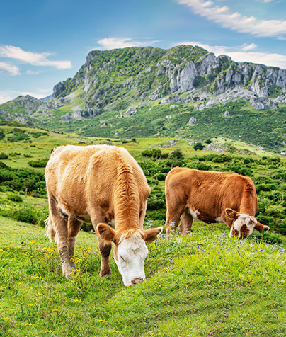 Waste?No,Resource.<br><br>Are you struggling with livestock waste piling up on your farm?